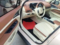 ORA Good Cat 400km Standard Range Venus Edition LFP Battery - ფოტო 15