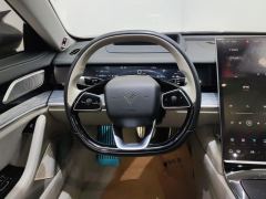 Neta S EREV Edition 310km 1160 Edition - photo 18
