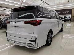 Buick GL8 652T Luxury Version 7 - ფოტო 18