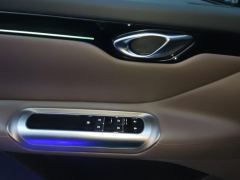 GAC Aion E8 PHEV 2.0L 150km MAX - ფოტო 13