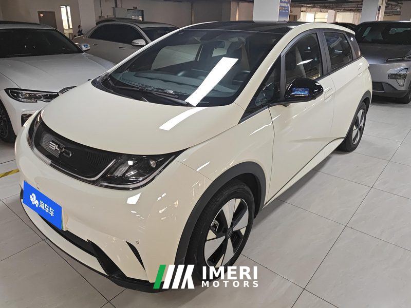 BYD Dolphin 420km Stylish Edition - car from China