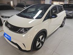 BYD Dolphin 420km Stylish Edition - photo 1