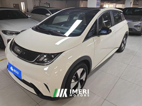 2023 BYD Dolphin 420km Stylish Edition - автомобиль из Китая