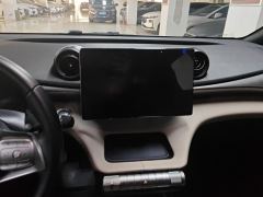 BYD Dolphin 420km Stylish Edition - photo 17