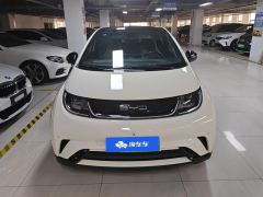 BYD Dolphin 420km Stylish Edition - photo 3