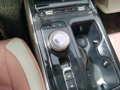Wuling Starlight Plug-in Hybrid 1.5L 150km Advanced - ფოტო 19