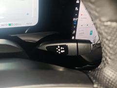 XPeng P7 480N - photo 19