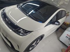 BYD Dolphin 420km Stylish Edition - ფოტო 1