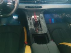 GAC Shadow Leopard 270T J15 Edition - ფოტო 19