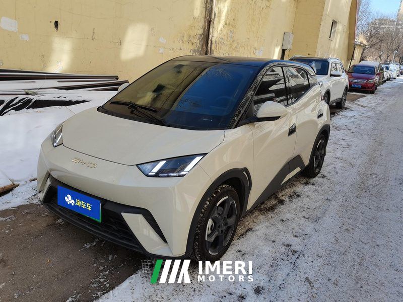 BYD Seagull 305km Free Version - ავტომობილი ჩინეთიდან
