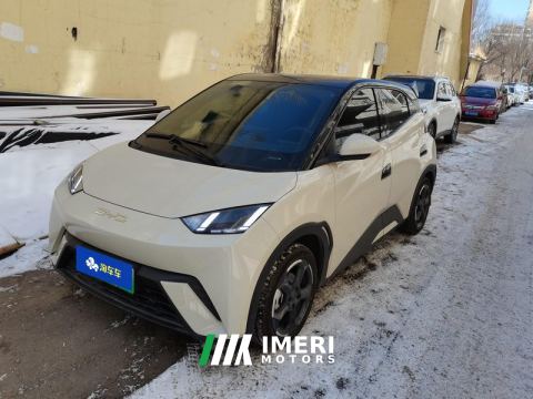 2023 BYD Seagull 305km Free Version - ავტომობილი ჩინეთიდან