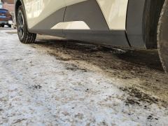 BYD Seagull 305km Free Version - ფოტო 11