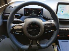 BYD Seagull 305km Free Version - ფოტო 18