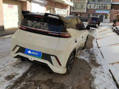 BYD Seagull 305km Free Version - ფოტო 2