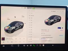 Tesla Model Y 615km Performance High-Performance AWD Version - ფოტო 20