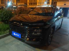 Jetour Dasheng 1.5T PRO - photo 1
