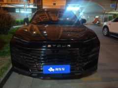 Jetour Dasheng 1.5T PRO - photo 3