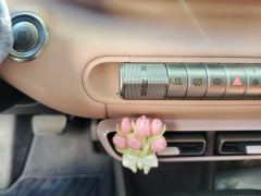 BYD Seagull 305km Free Version - photo 19