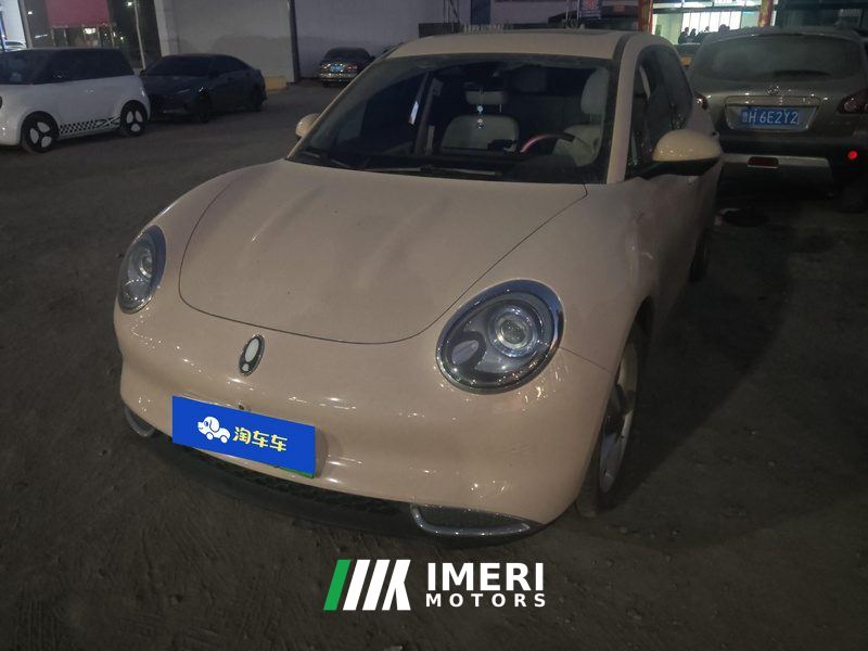 Ora Great Wall Good Cat 401km Prestigious Edition - car from China