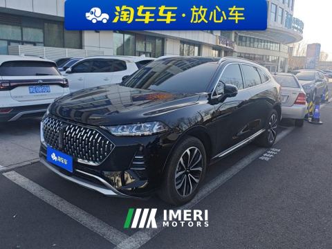 2021 Great Wall Mocha fuel Weipai Mocha Fuel Oil 2.0T Two-Wheel Drive Special Edition