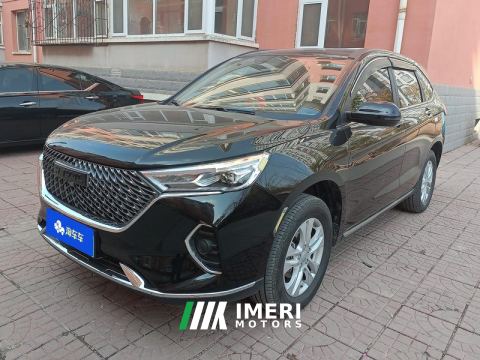 2021 Haval M6 PLUS 1.5T Version - car from China