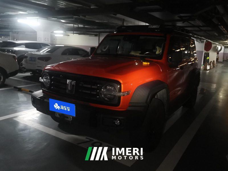 Tank 300 Off-Road Edition 2.0T Conqueror - ავტომობილი ჩინეთიდან