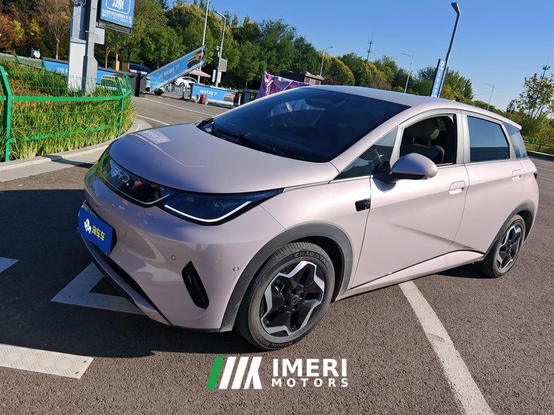BYD Dolphin 420km Free Version - ავტომობილი ჩინეთიდან