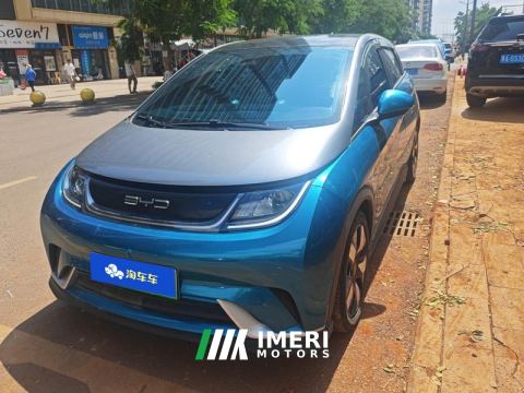 2023 BYD Dolphin 401km Knight Edition - ავტომობილი ჩინეთიდან