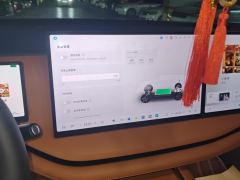 WEY Lam San 1.5T 221km AWDMax - ფოტო 17