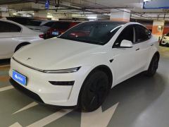 Tesla Model Y 719km Long Range Edition - ფოტო 1