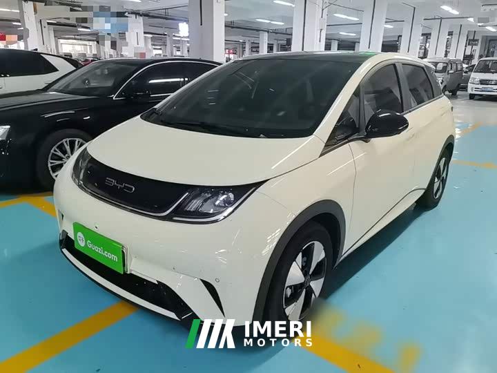 BYD Dolphin 420km Fashion Edition - ავტომობილი ჩინეთიდან