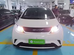 BYD Dolphin 420km Fashion Edition - ფოტო 2