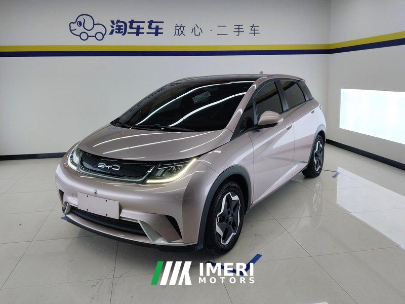 BYD Dolphin 405km Stylish Edition - car from China