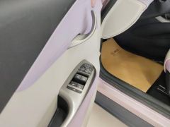 BYD Dolphin 405km Stylish Edition - photo 13