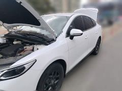 BYD Qin PLUS DM-i Smart Drive Edition 55KM Leading - photo 1