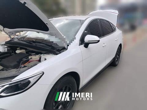 2025 BYD Qin PLUS DM-i Smart Drive Edition 55KM Leading