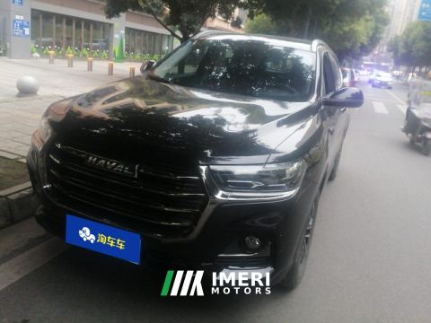 2021 Haval H6 Guochao Edition 1.5T 2WD Urban Edition - ავტომობილი ჩინეთიდან