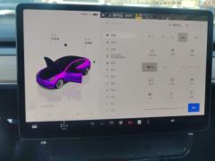 Tesla Model 3 556km Rear-Wheel Drive Edition - фото 20
