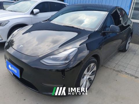 2021 Tesla Model Y Standard endurance rear-wheel drive - ავტომობილი ჩინეთიდან