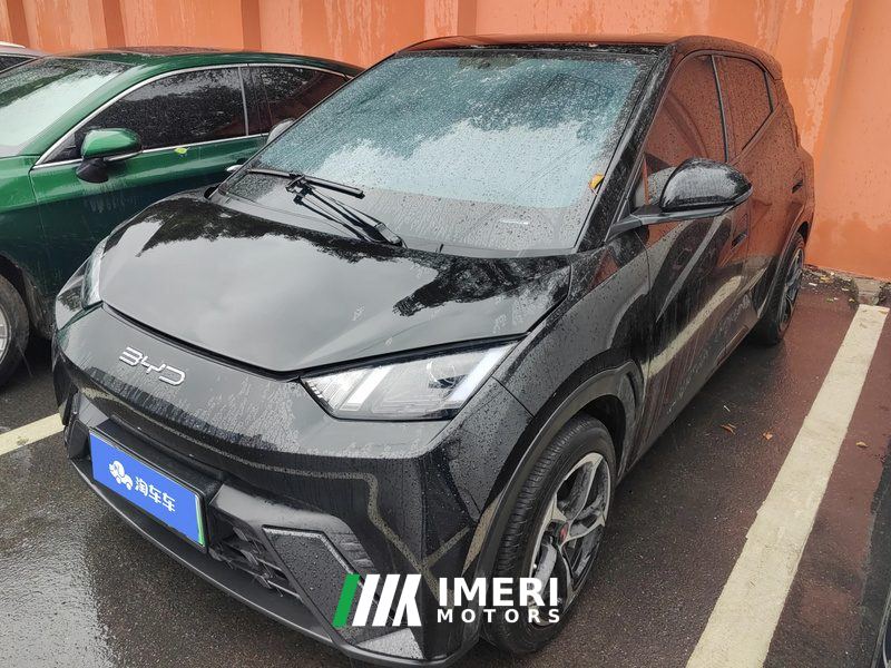 BYD Seagull 305km Free Version - ავტომობილი ჩინეთიდან