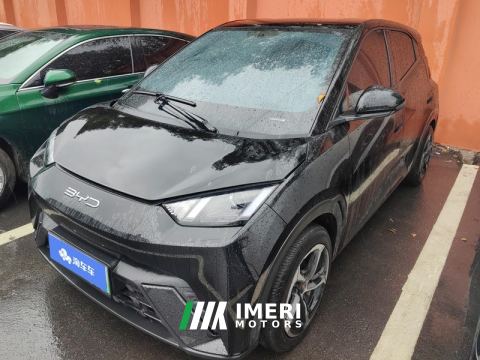 2023 BYD Seagull 305km Free Version - ავტომობილი ჩინეთიდან