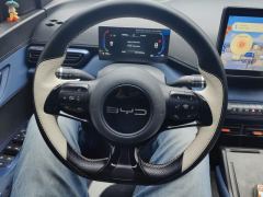 BYD Seagull 305km Free Version - ფოტო 18