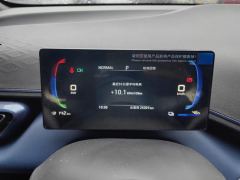 BYD Seagull 305km Free Version - ფოტო 20