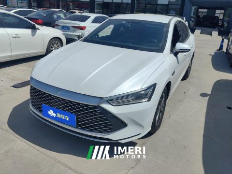 2023 BYD Qin PLUS DM-i Champion Edition 1.5L 55km Leading Edition