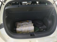 BYD Dolphin 405km Stylish Edition - ფოტო 7
