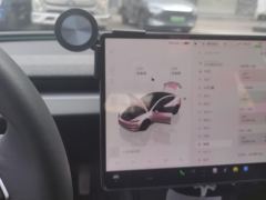 Tesla Model 3 606km Rear-Wheel Drive Edition - ფოტო 19