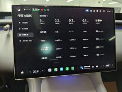 Xiaomi YU7 Four-Wheel Drive Pro - ფოტო 11