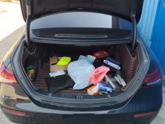 Mercedes-Benz E Class E-Class E 300 L Luxury - photo 7