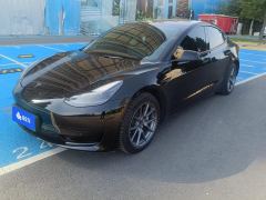 Tesla Model 3 556km Rear-Wheel Drive Edition - ფოტო 1