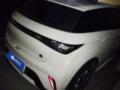 BYD Dolphin 420km Stylish Edition - ფოტო 2